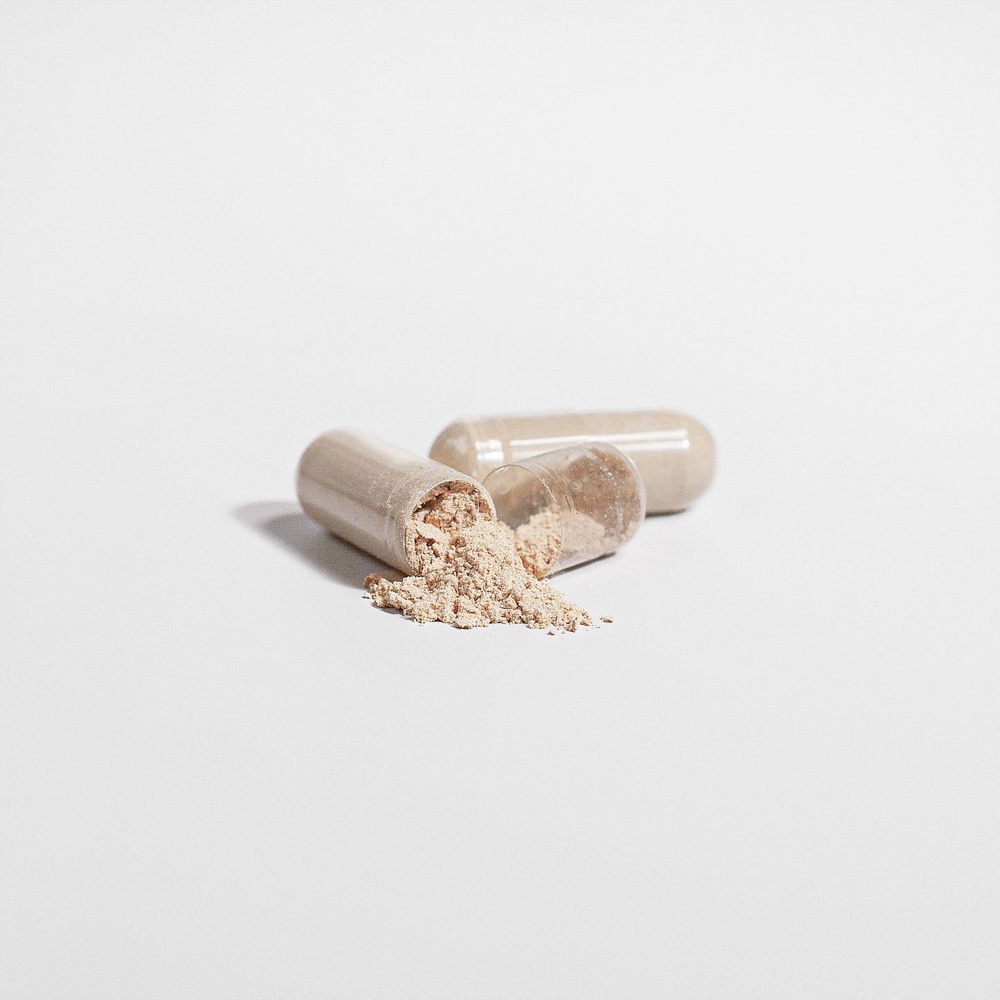 Lion's Mane Mushroom - 1000mg